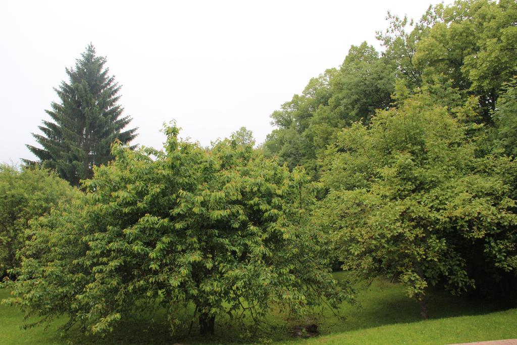 Holiday Home Maison De La Litiere Pugny-Chatenod Номер фото